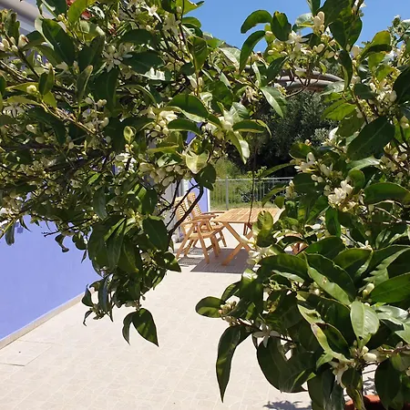 The Ionian Blue House Fully Equipped 3br House Vakantiehuis *